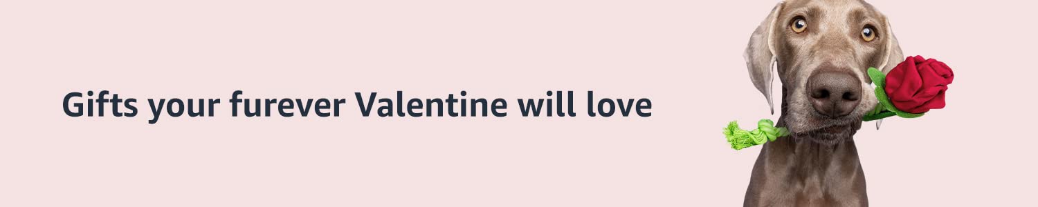 Valentine's Day gifts for pets
