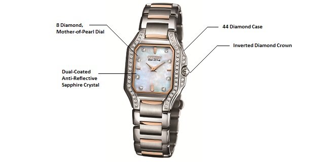 Watch Features Diagram