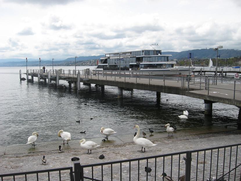 Amazon.com: The Zurich Conspiracy (9781611090932): Bernadette ...