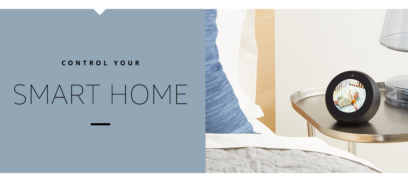 Control your smart home