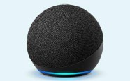 Echo Dot (4th gen)