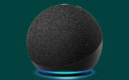 Echo Dot (4th Gen)