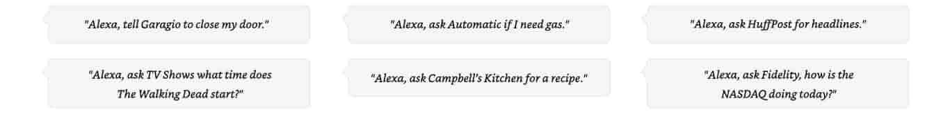 Echo- Alexa has skills utterances