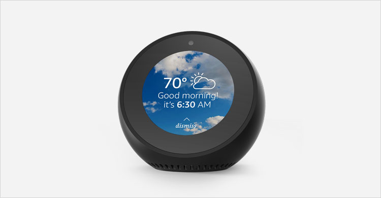 Echo Spot