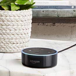 Image of a black Echo Dot device on a counter.