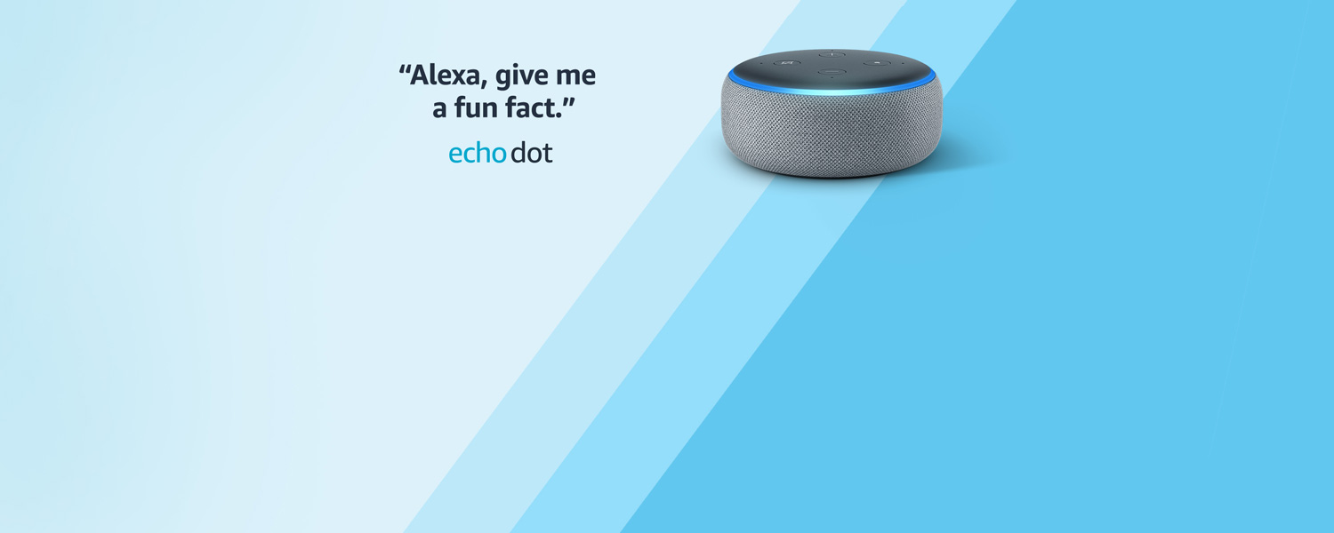 Alexa, give me a fun fact. | Echo Dot