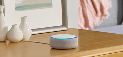 Echo Dot