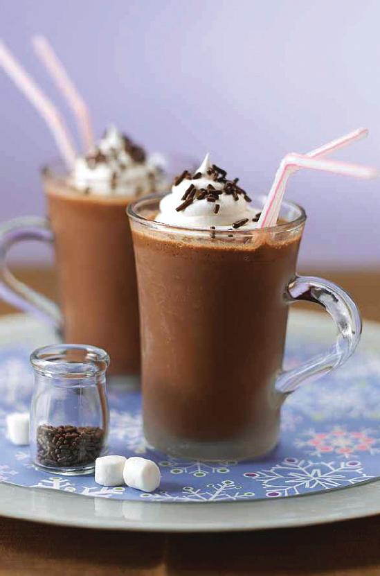 Oster Versa Blender Amazon.ca Home