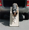 Senior pet supplies