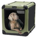 Puppy pet supplies