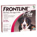 Protect your pets from fleas and ticks