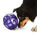 Shop for 4-for-3 offers on pet products