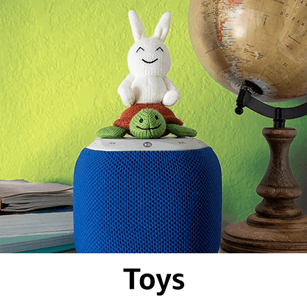 Amazon Launchpad Toys