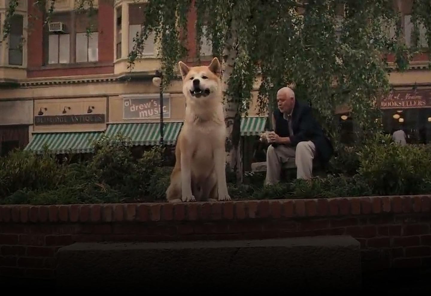 Amazon.de Hachiko Eine wunderbare Freundschaft [dt./OV] ansehen