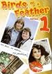 Watch Birds Of A Feather - Series 1 Online Free