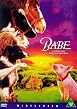 Watch Babe Online Free