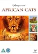 Watch African Cats Online Free