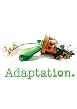 Watch Adaptation. Online Free