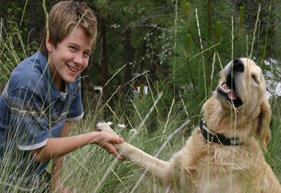 Watch Super Capers Online Free HD Watch Super Capers Online Free HD