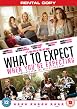 Watch What to Expect When You're Expecting Online Free