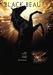 Watch Black Beauty Online Free