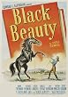 Watch Black Beauty Online Free