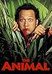 Watch The Animal Online Free