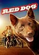Watch Red Dog Online Free