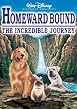 Watch Homeward Bound - The Incredible Journey Online Free