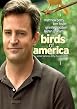 Watch Birds Of America Online Free