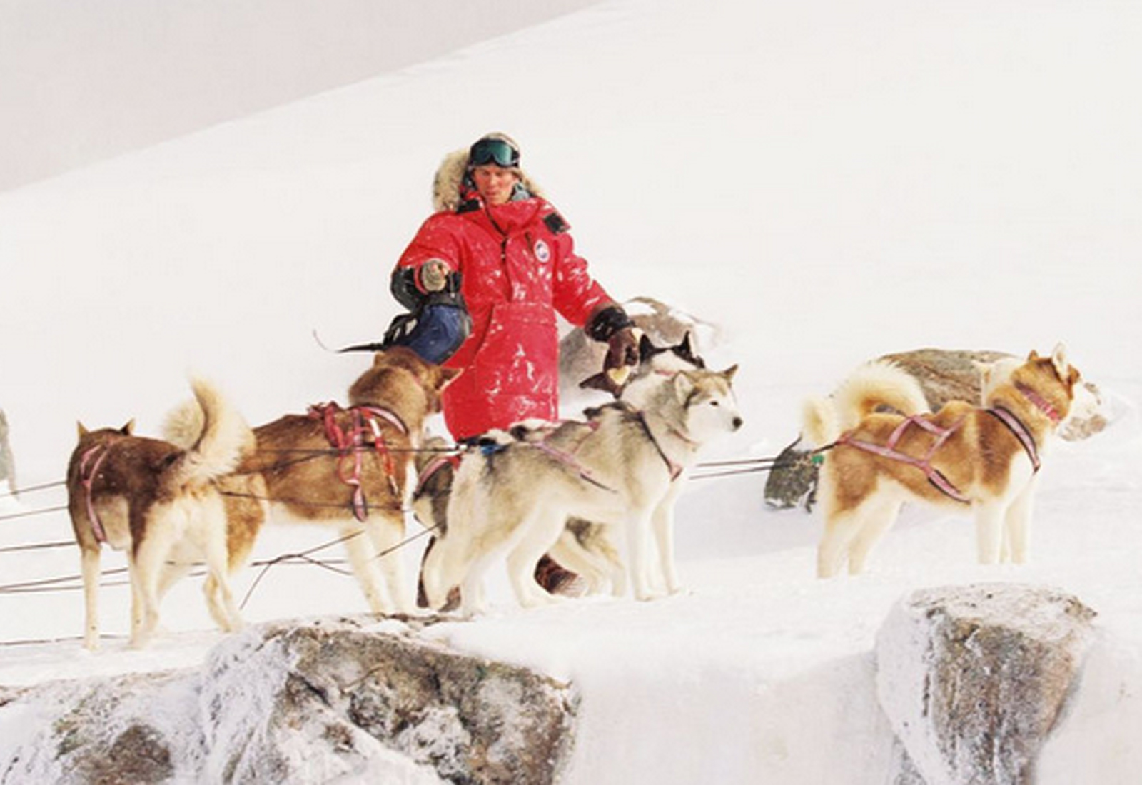 Watch Eight Below Prime Video