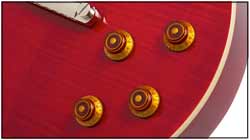 Epiphone Les Paul Standard Plus-Top PRO