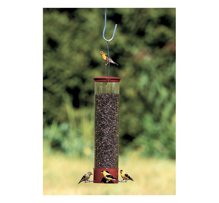 Droll Yankees YCPD90 Dipper Squirrel Proof Bird Feeder