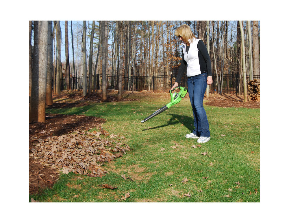 GreenWorks 24102A Cordless LithiumIon Leaf Blower, Includes Gen. 1 40V 4.0amp