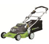 Greenworks