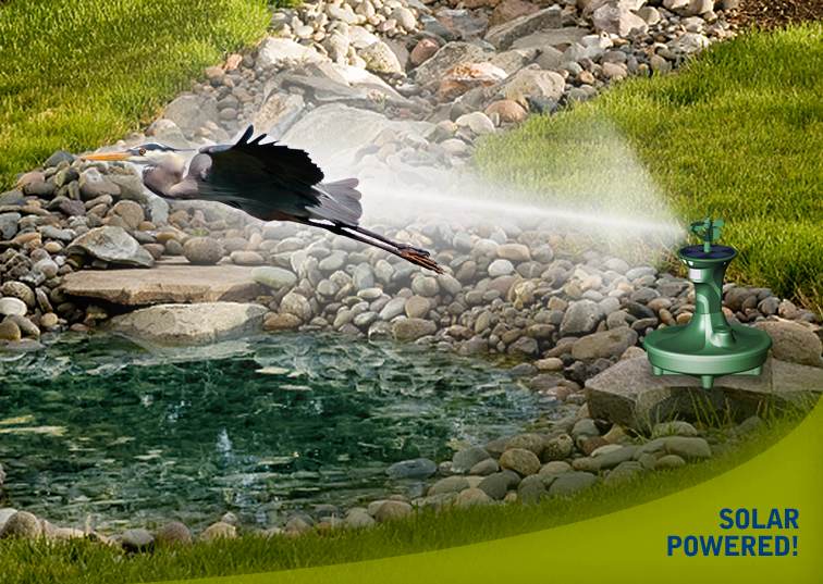 Havahart Spray Away Elite 5268 Motion Detector Sprinkler