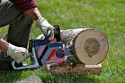 PowerNow big logs