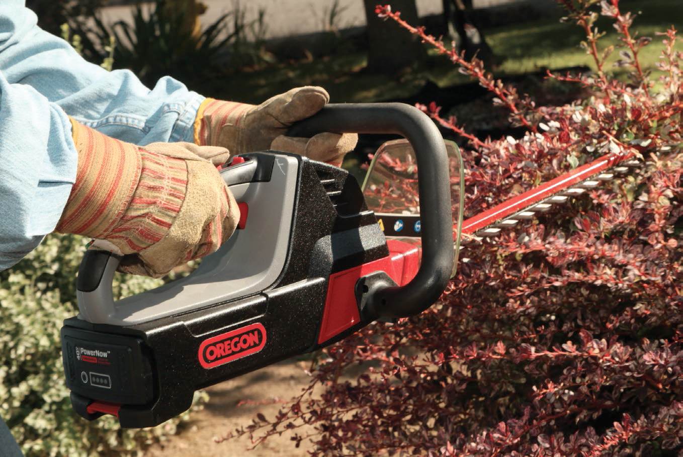 OREGON 40 Volt MAX HT250S6 Hedge Trimmer Kit with 1.25 Ah Battery Pack Power