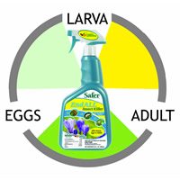 EndAll lifecycle