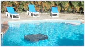 savior pool