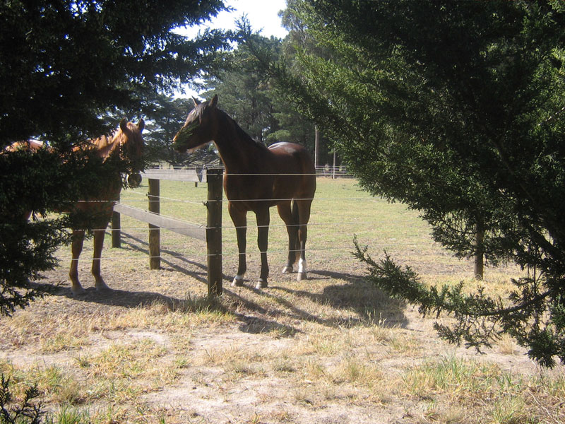 ElectroBraid ATENSIONKITEB Tension Kit Livestock Equipment Patio, Lawn & Garden