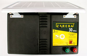 Zareba