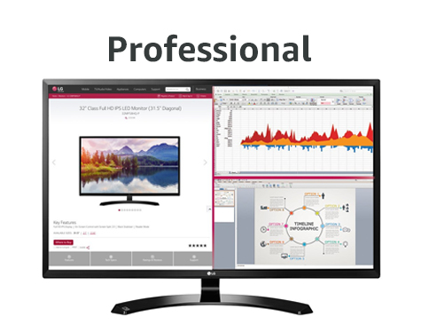 Professional Monitor