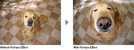 Canon PowerShot digital camera highlights