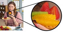 Canon PowerShot digital camera highlights