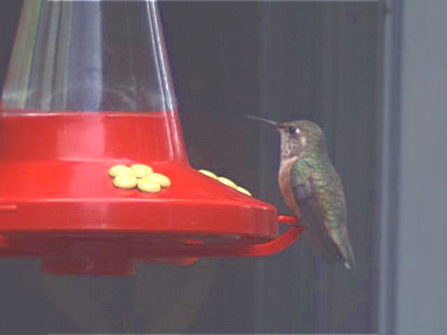 celestron firstscope 90eq