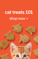 Cat Treat 101
