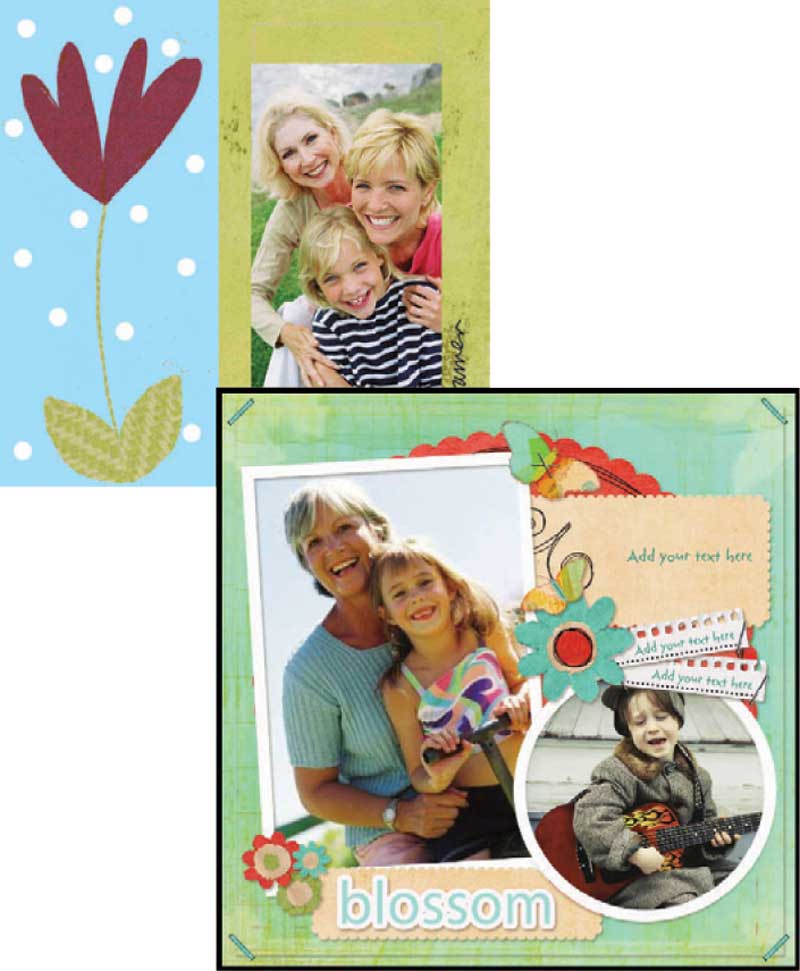 Corel Photo Album 7 Deluxe Home & Kitchen