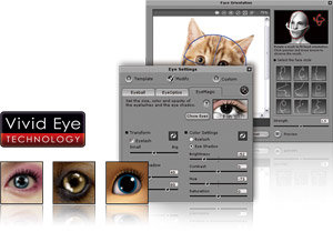 Face Profile Styles for Character Definition