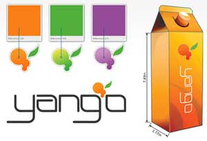 Create professional designs